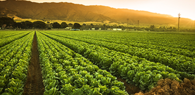 智慧农业监控系统安装方案