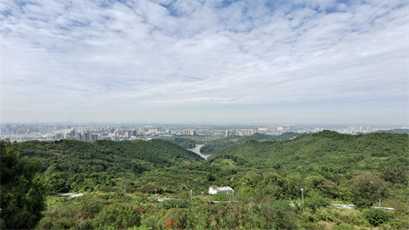 AI视频联网报警|智慧旅游|AI视频联网报警系统|景区安防